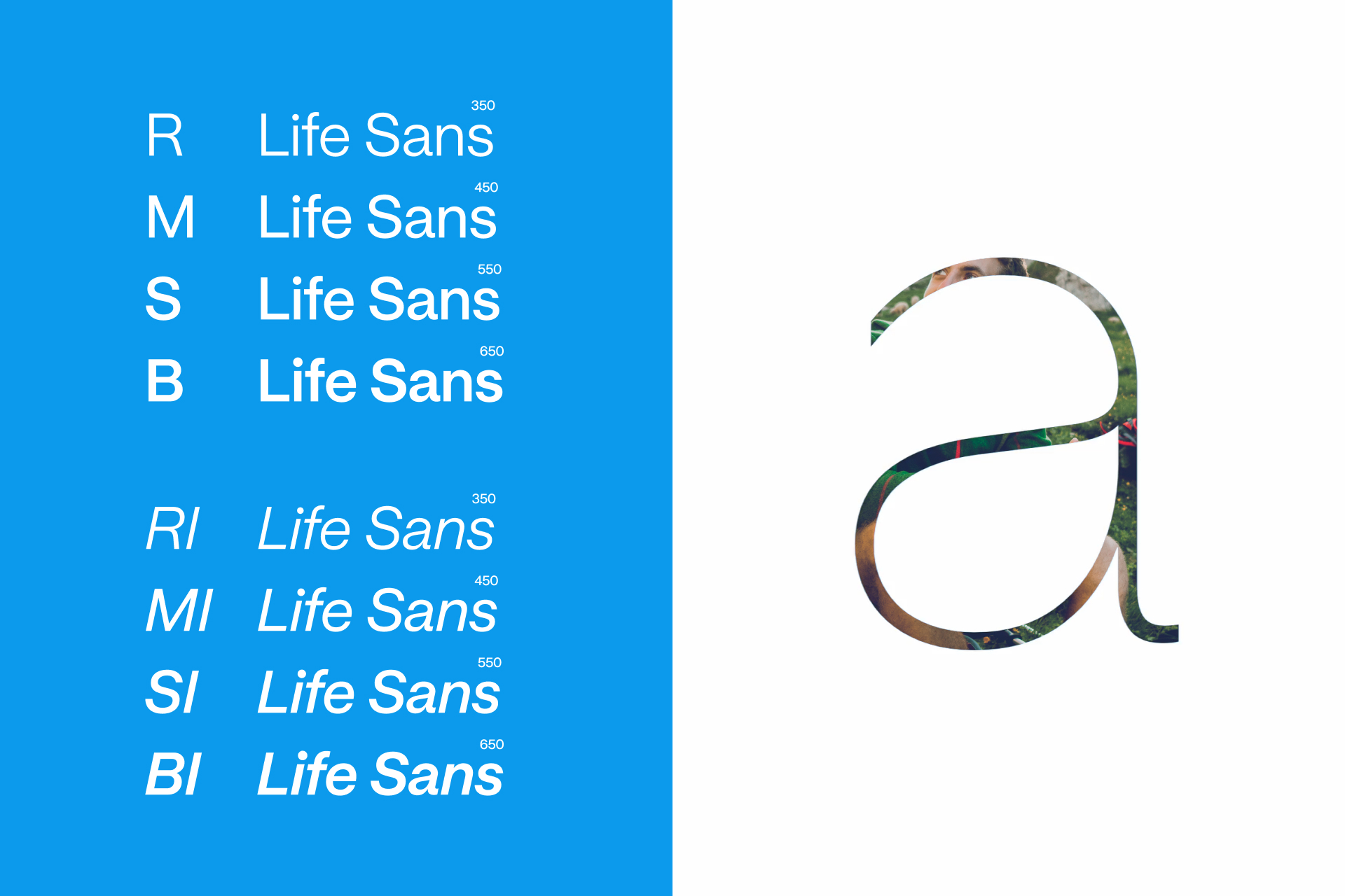 Typography-A2A